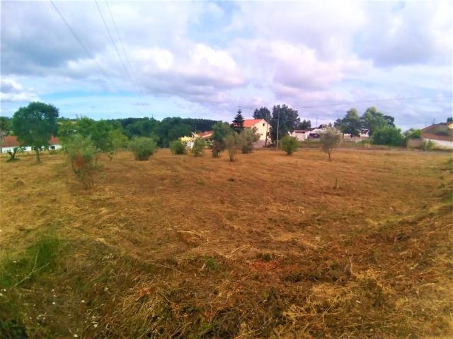 Terreno, São Pedro de Tomar, Tomar | BPI Expresso Imobiliário