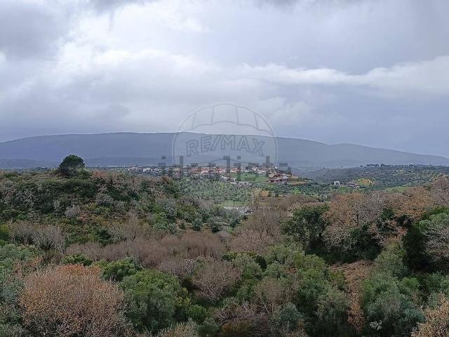 Terreno, São Pedro Lapas Ribeira Branca