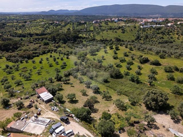 Terreno, São Pedro Lapas Ribeira Branca