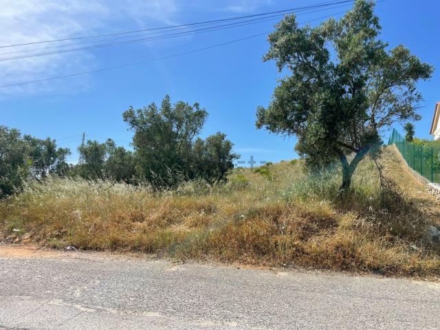 Terreno, São Sebastião