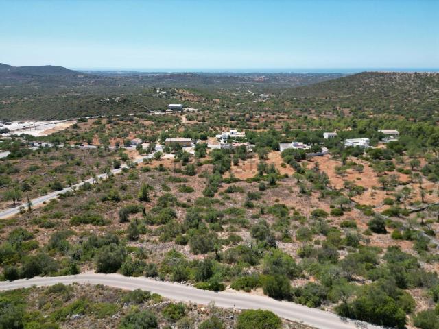 Terreno, São Sebastião