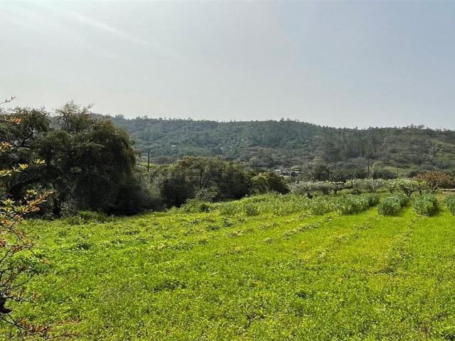 Terreno, São Sebastião
