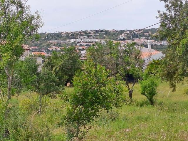Terreno, São Sebastião