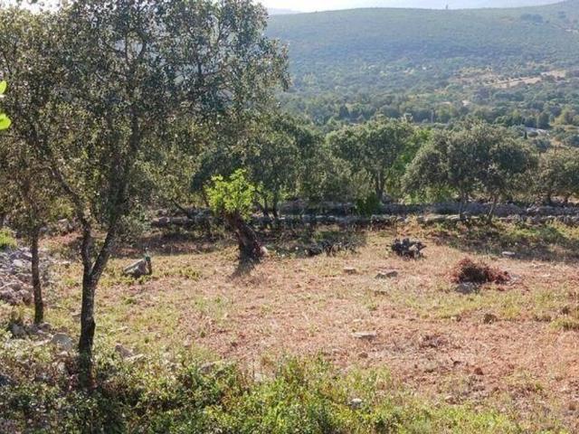 Terreno, São Sebastião