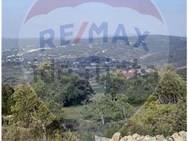 Terreno, Tôr