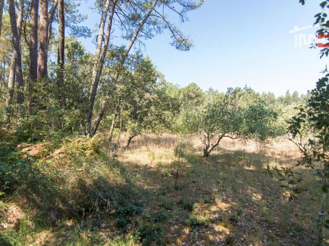 Terreno, S. Mamede, Batalha | BPI Expresso Imobiliário