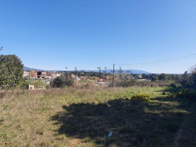 Terreno, Sabadell