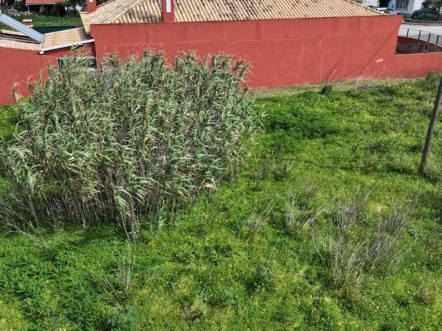 Terreno, Sagres