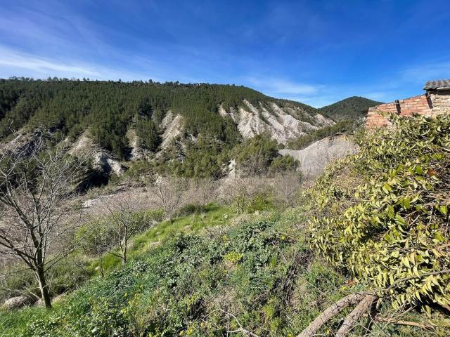Terreno, Salás de Pallars