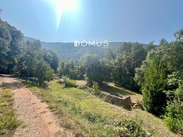 Terreno, Sales de Llierca
