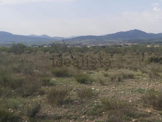Terreno, Salinas
