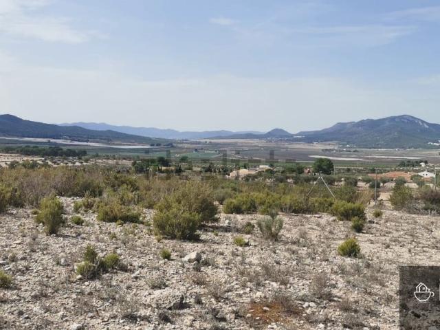 Terreno, Salinas