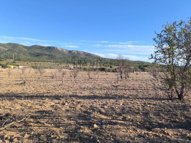 Terreno, Salinas