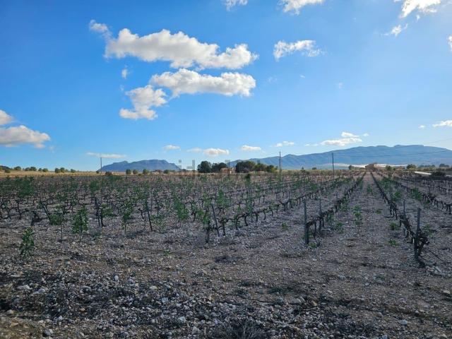 Terreno, Salinas