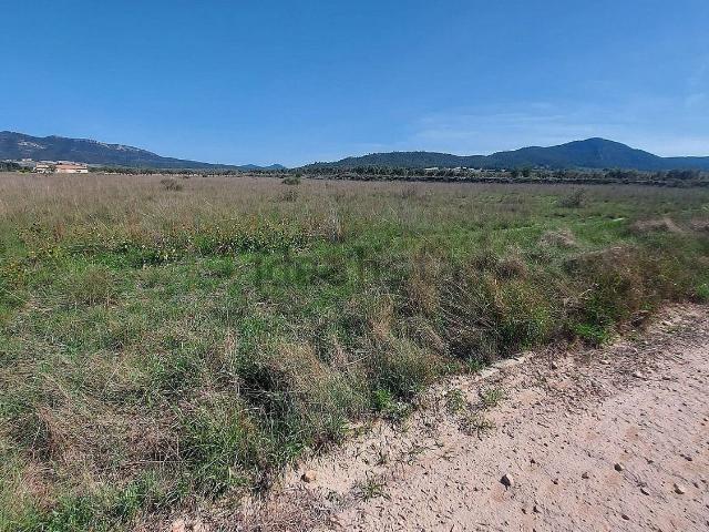 Terreno, Salinas