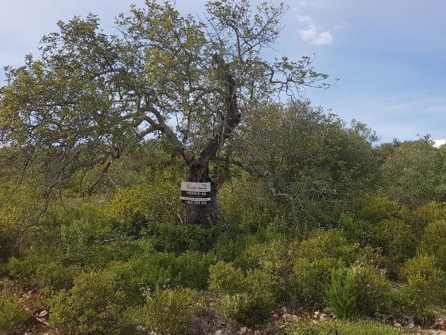 Terreno, Salir
