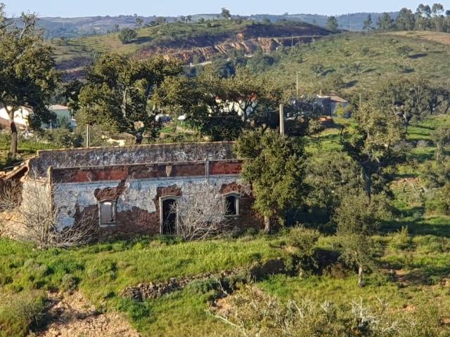 Terreno, Salir