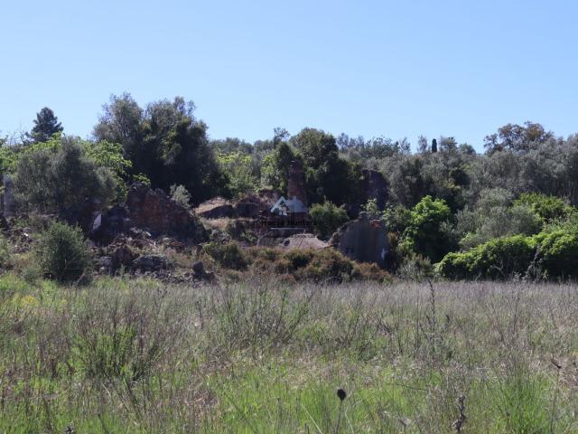 Terreno, Salir