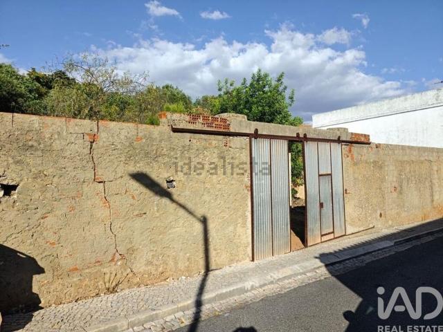 Terreno, Salir
