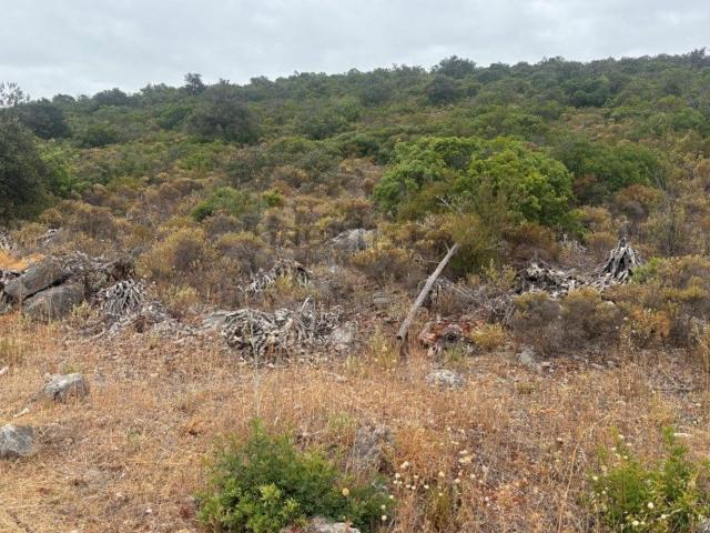 Terreno, Salir