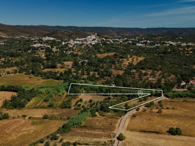 Terreno, Salir