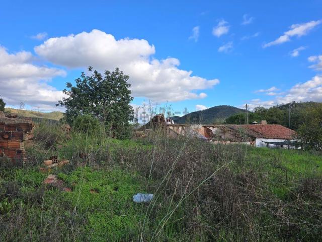Terreno, Salir