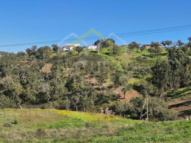 Terreno, Salir