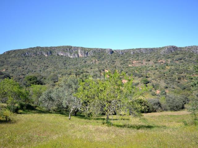 Terreno, Salir