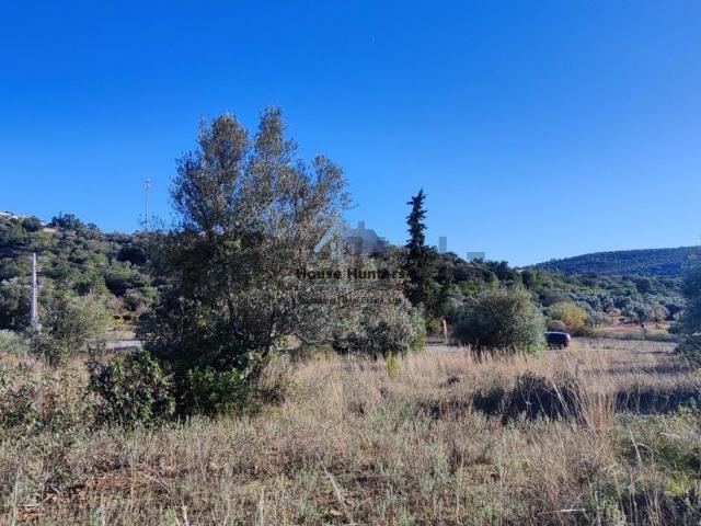 Terreno, Salir