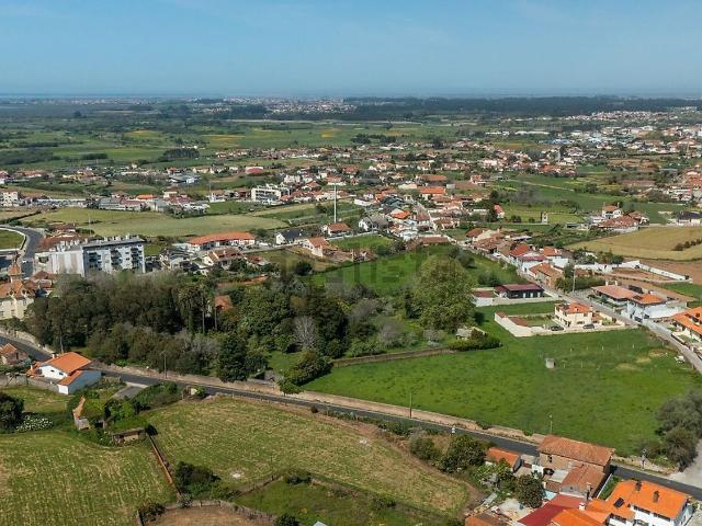 Terreno, Salreu