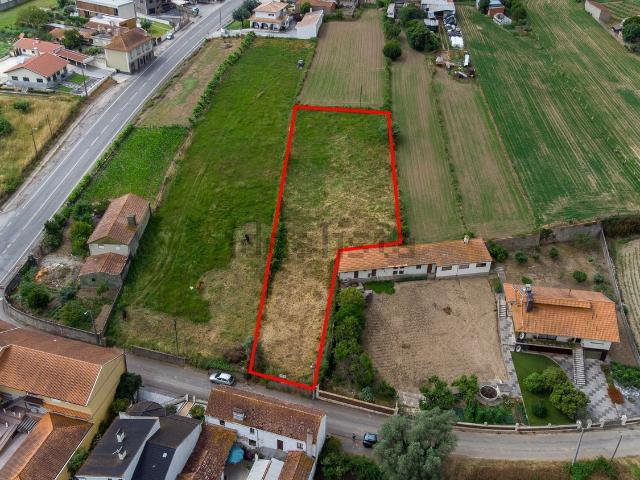 Terreno, Salreu