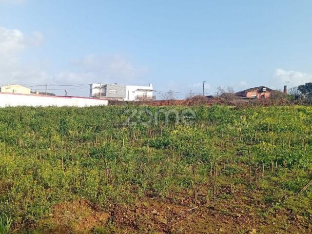 Terreno, Salreu