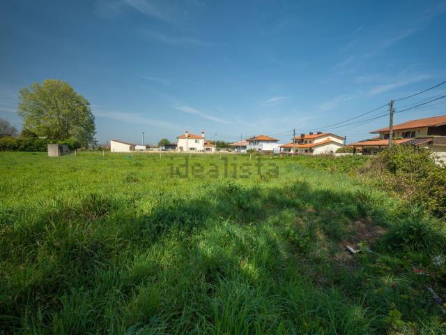 Terreno, Salreu