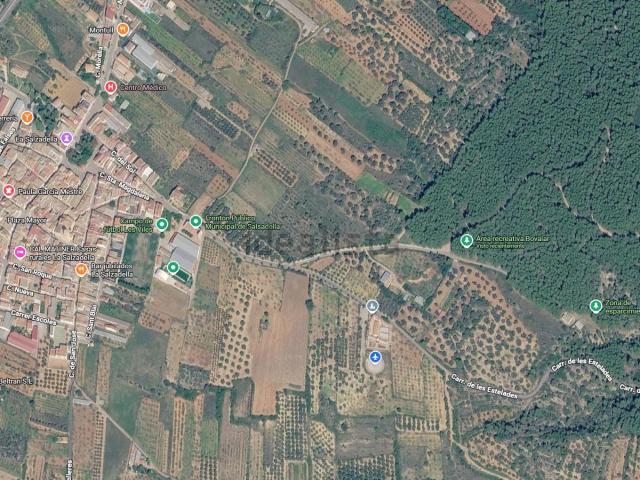 Terreno, Salsadella