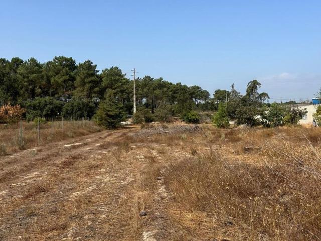Terreno, Salvaterra de Magos