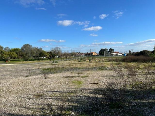 Terreno, Samora Correia