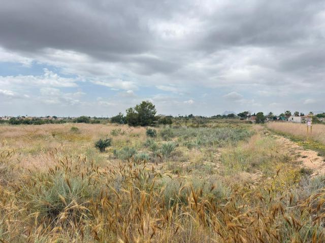 Terreno, San Vicente del Raspeig