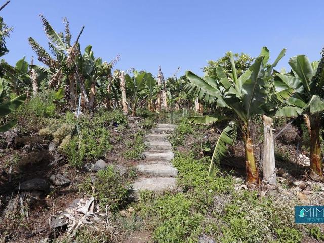 Terreno, San Andrés y Sauces