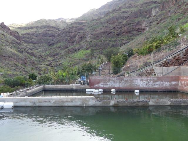 Terreno, San Bartolomé de Tirajana