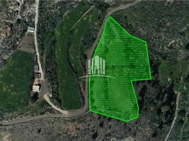 Terreno, San Bartolomé de Tirajana