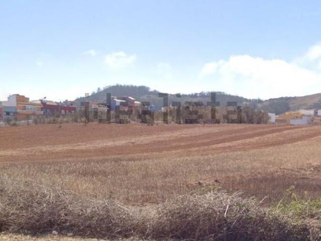 Terreno, San Cristóbal de la Laguna