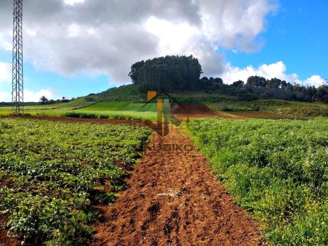 Terreno, San Cristóbal de la Laguna
