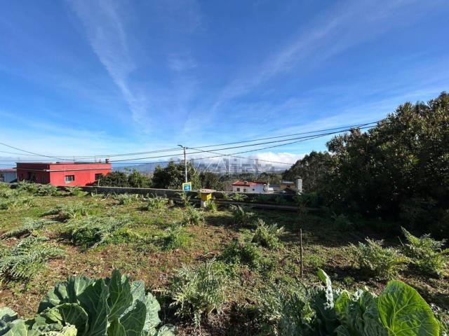 Terreno, El Rosario