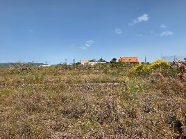 Terreno, San Cristóbal de la Laguna