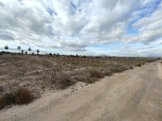 Terreno, San Fulgencio