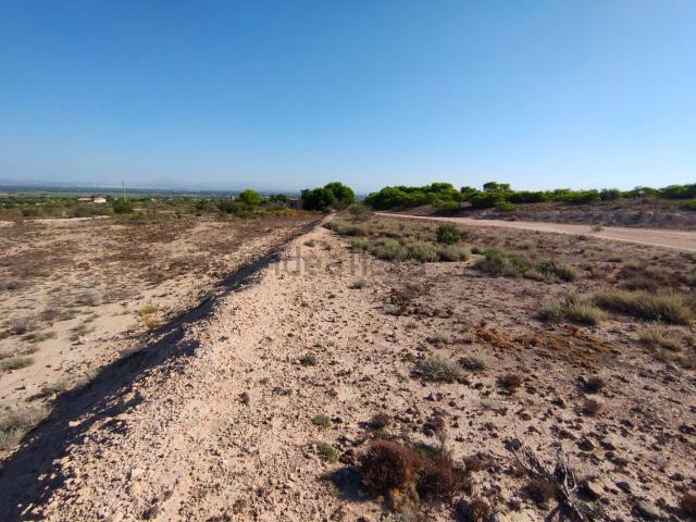 Terreno, San Fulgencio