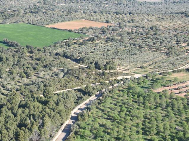 Terreno, San Jorge