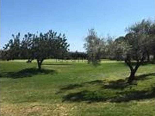 Terreno, San Jorge