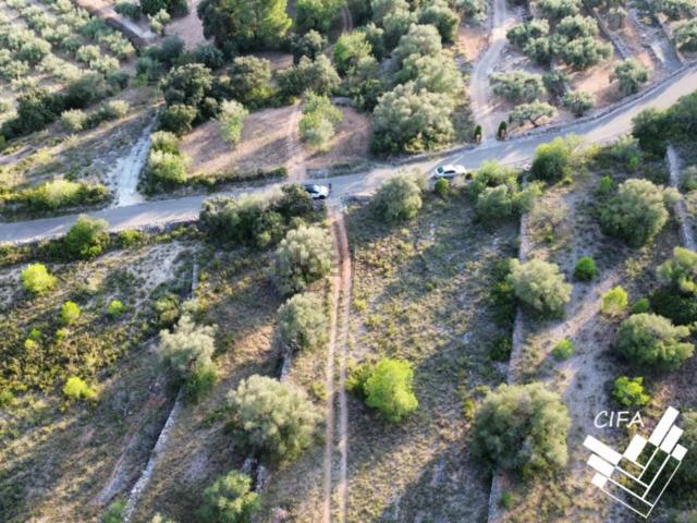 Terreno, San Jorge