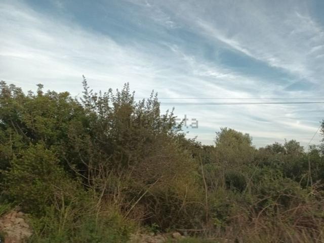 Terreno, San Jorge